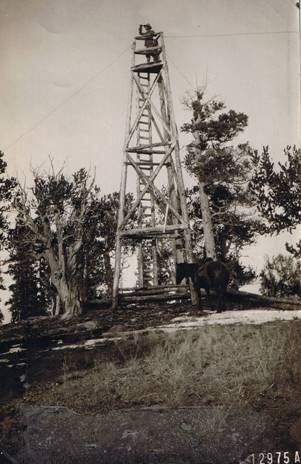 Lookout Mountain Tower