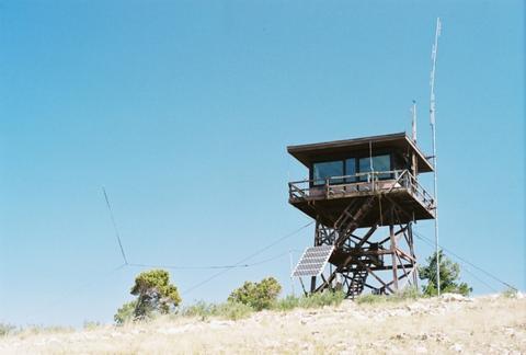 Zenobia tower